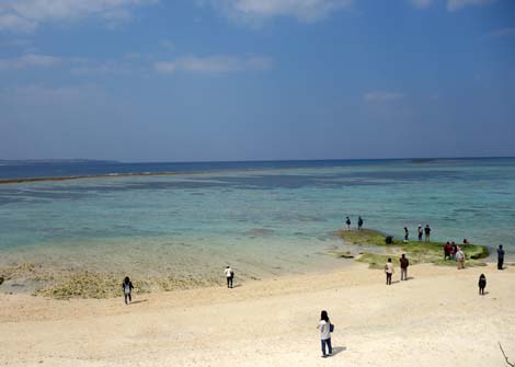 沖縄観光では誰もが訪問するメジャーな地ですね「海洋博公園」（沖縄国頭郡本部町）