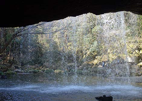 滝の裏側から滝を眺めることができる珍しい綺麗な滝です「鍋ヶ滝」（熊本阿蘇郡小国町）