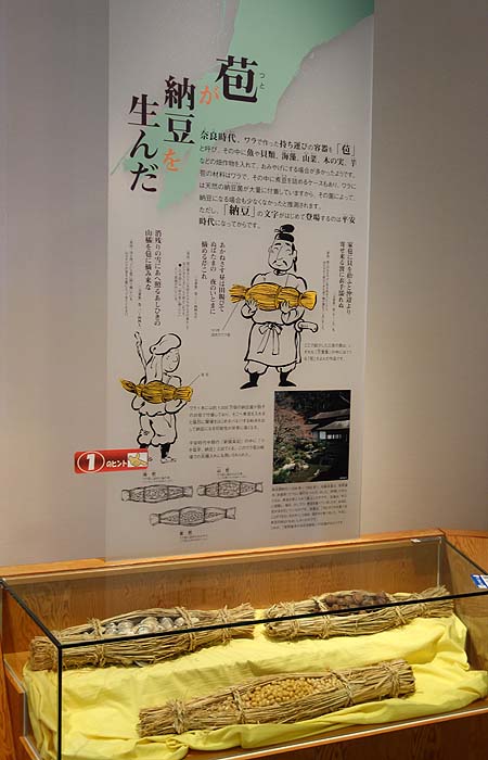 無料見学できます！おかめ納豆で有名なタカノフーズ「納豆博物館」（茨城小美玉市）