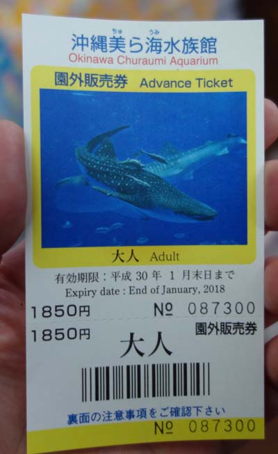 日本では一番充実している水族館ではと思います「美ら海水族館」（沖縄国頭郡本部町）