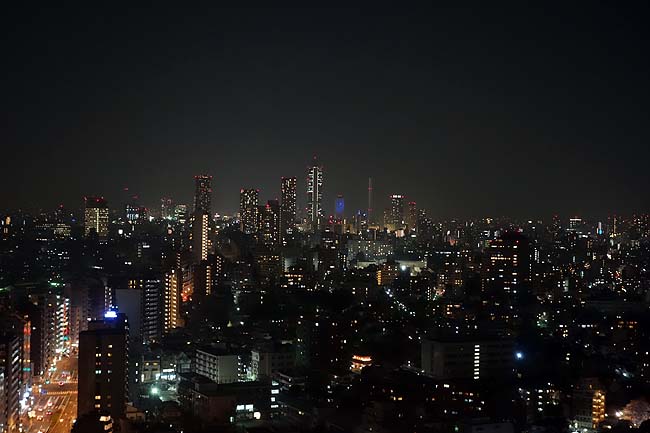 夜景めぐりと東京呑みのアテに是非とも食べたいんは旨い炭火焼やきとんやわ
