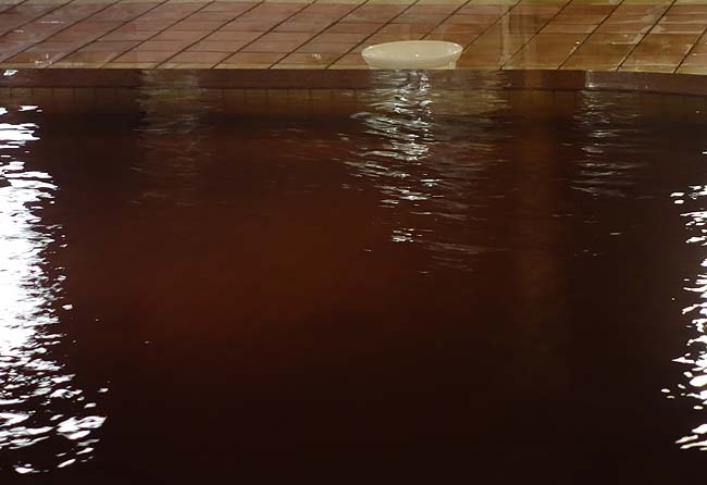 帯広天然温泉 ふく井ホテル（北海道）帯広駅前ホテルなのに源泉かけ流し100％！モール温泉