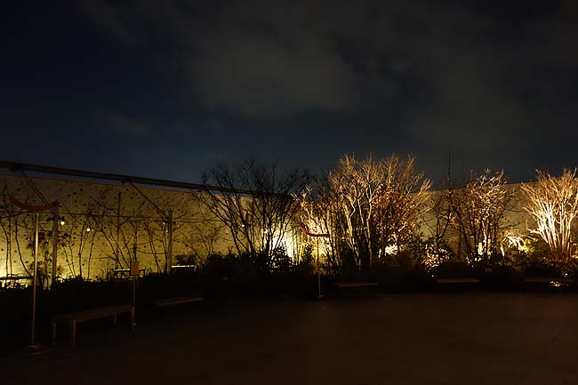 つばめの杜ひろば（福岡）博多駅ビルの屋上は博多夜景を無料で見ることができる絶景ポイント！