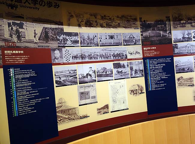 北海道大学総合博物館（札幌）北海道大学構内にある入場無料で見学できる施設としては展示品が充実！