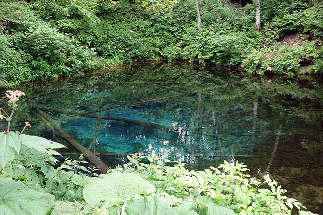 神の子池（北海道）摩周湖山奥に存在するエメラルドブル―に輝く神秘の池は一見の価値あり！