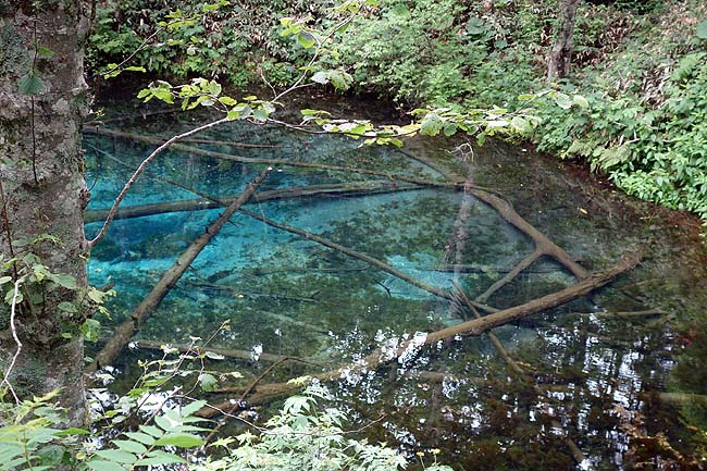 神の子池（北海道）摩周湖山奥に存在するエメラルドブル―に輝く神秘の池は一見の価値あり！