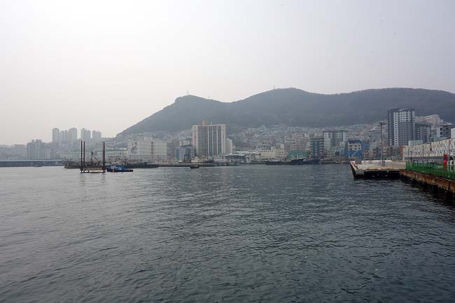 ナクチポックン(たこの甘辛炒め)釜山グルメをいただき海鮮いっぱいのチャガルチ市場へ