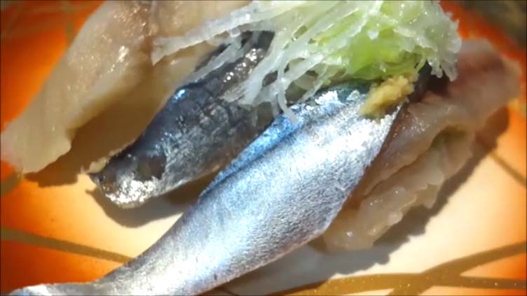 【全国回転寿司行脚北海道Sushi】網走に1店舗だけ存在するローカル回転寿司 ビッグサン 潮見店 地元の海鮮食材と海苔が最高に美味しい