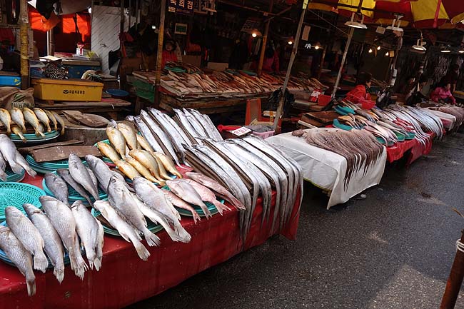 ナクチポックン(たこの甘辛炒め)釜山グルメをいただき海鮮いっぱいのチャガルチ市場へ