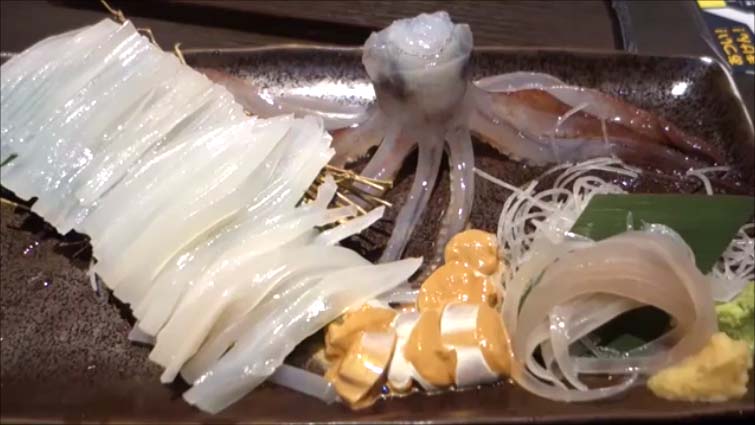 【北海道9泊10日車旅】函館で一番食べたいグルメ[活いか]荒天続きの中ようやくいただけました いか太郎プレジデント函館朝市店