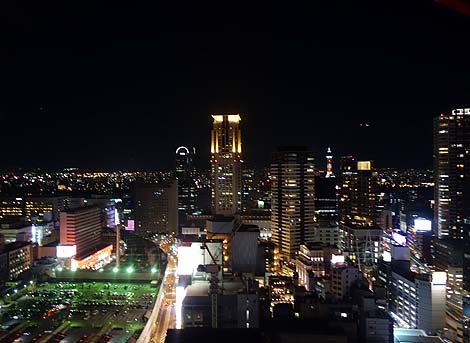 HEP FIVE 観覧車（大阪梅田）梅田都心部の夜景見物