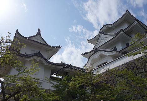 転落死者も出るくらいの日本一の石垣「伊賀上野城」（三重伊賀）