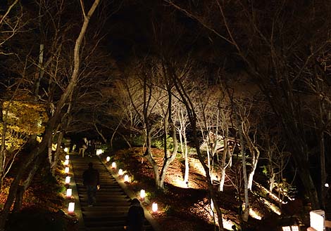 常寂光寺（嵐山花灯路・夜間特別拝観）京都・夜のライトアップ