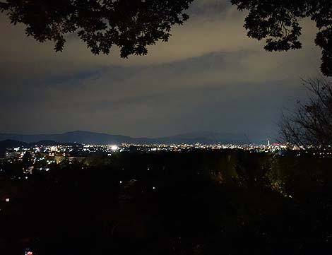常寂光寺（嵐山花灯路・夜間特別拝観）京都・夜のライトアップ