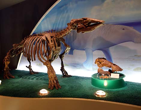 恐竜はあれど化石に特化した博物館は全国でも非常に珍しい・・・瑞浪市「化石博物館」（岐阜）
