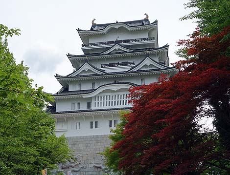 日本一背の高い城は福井県に存在するって知ってました？「勝山城博物館」（福井勝山）ニセ城シリーズ