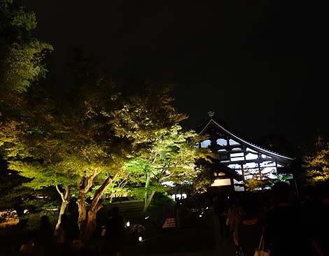 高台寺 秋の夜間特別拝観（京都祇園東山）境内を幻想的にライトアップ