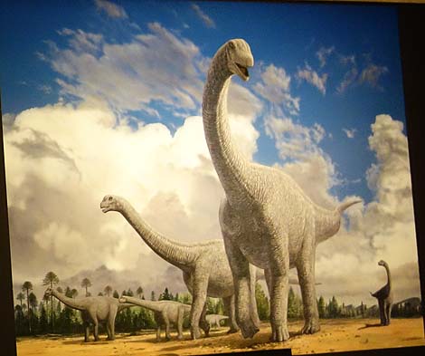 恐竜に特化した博物館ではその規模は全国ナンバー1「福井県立恐竜博物館」（福井勝山）