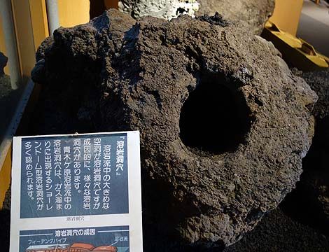 恐竜がいる！道の駅にある無料の博物館「なるさわ富士山博物館 鉱石ミュージアム」（山梨鳴沢村）