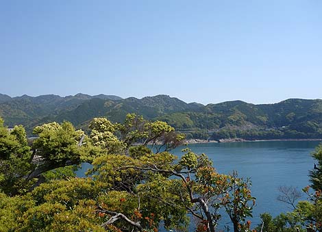 スリル満点の崖歩き！自然の驚異♪ 三重県熊野灘の奇勝「鬼ヶ城」