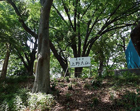 こんなところに・・・合格祈願に上野大仏（東京上野公園）B級珍スポット