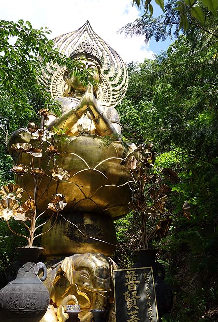 森の中に8体もの金ピカ大仏が無造作に立っている珍寺「谷厳寺」（長野県中野市）