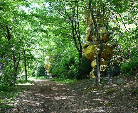 森の中に8体もの金ピカ大仏が無造作に立っている珍寺「谷厳寺」（長野県中野市）
